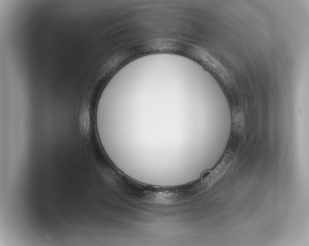 X0000101390158200807211020