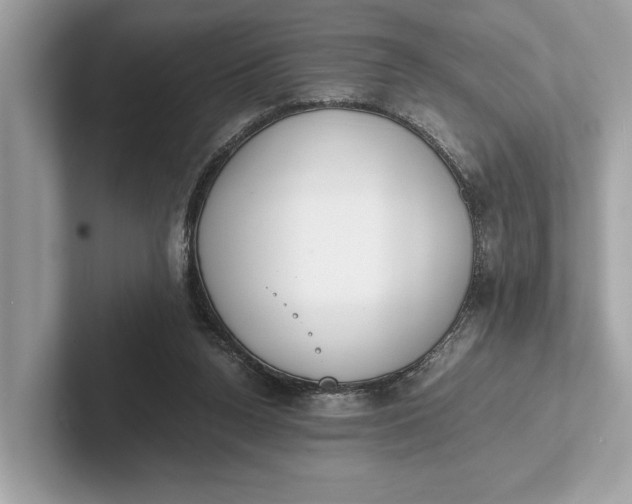 X0000101390160200807211020