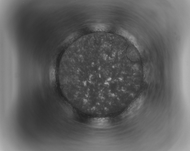 X0000101390161200807211020