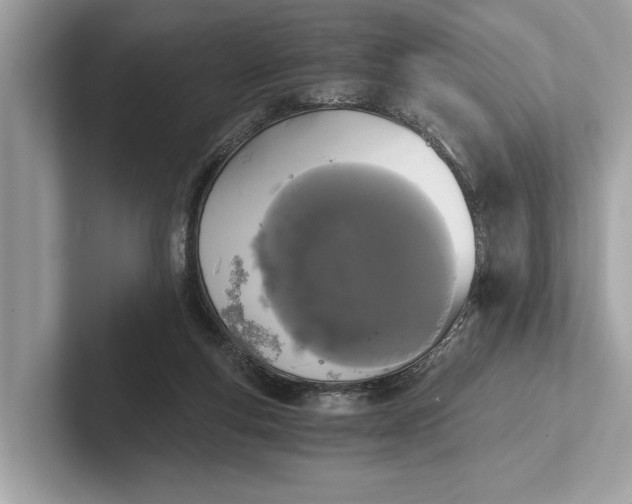 X0000101390163200807211020