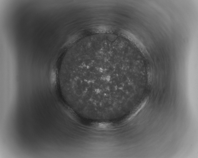 X0000101390165200807211020