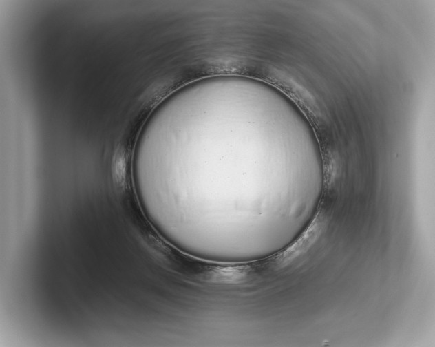 X0000101390166200807211020