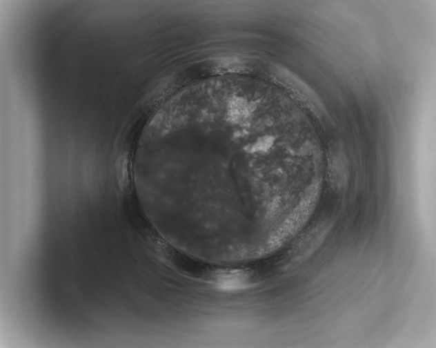 X0000101390169200807211020