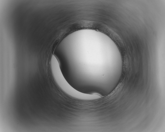 X0000101390172200807211020