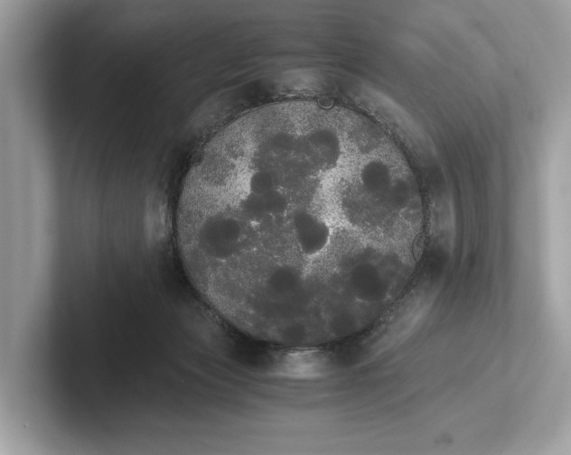 X0000101390173200807211020