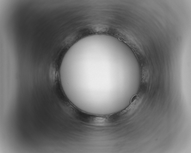 X0000101390176200807211020