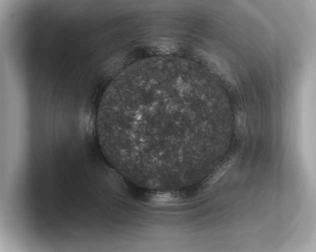 X0000101390177200807211020