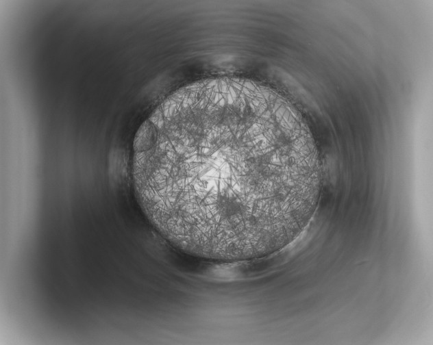 X0000101390178200807211020