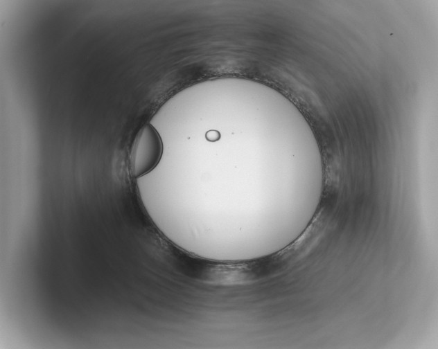 X0000101390179200807211020