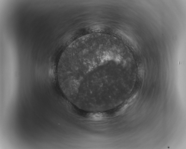 X0000101390181200807211020