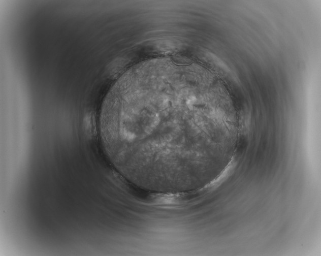 X0000101390182200807211020