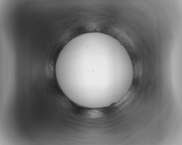 X0000101390183200807211020