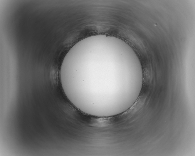 X0000101390184200807211020