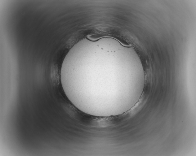 X0000101390186200807211020