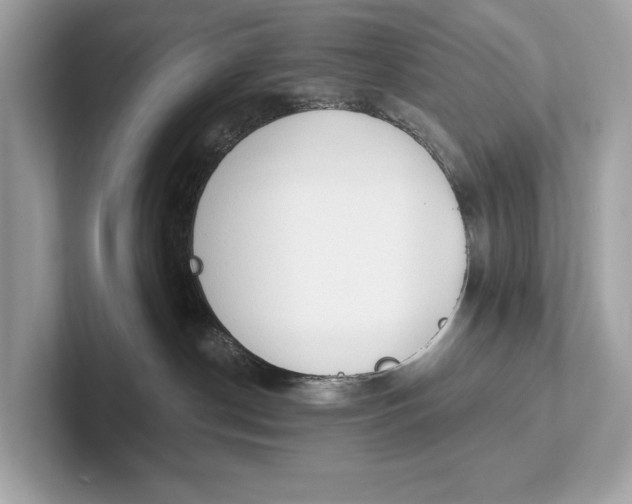 X0000101390190200807211020