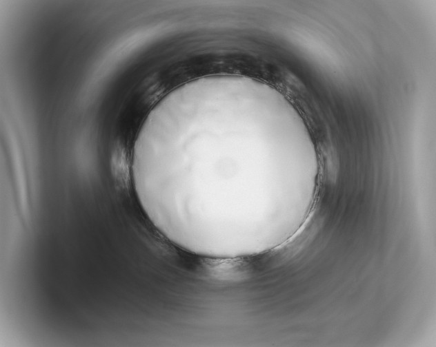 X0000101390191200807211020