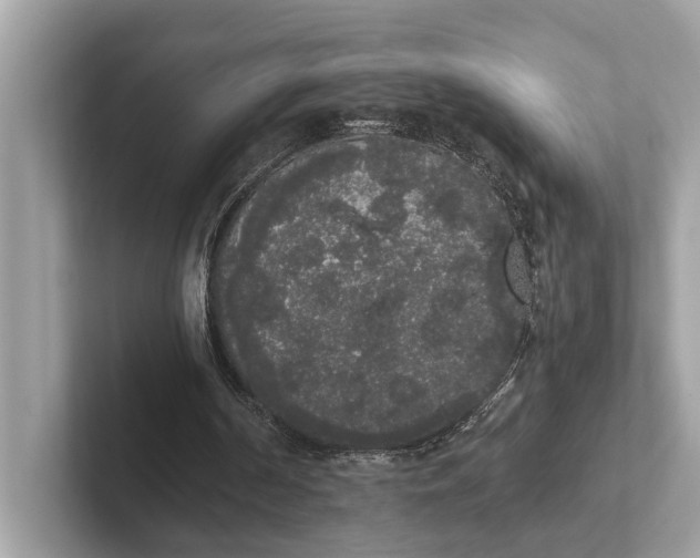 X0000101390194200807211020