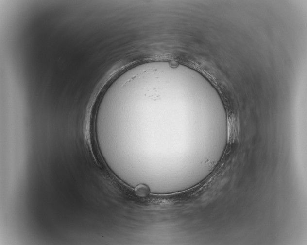 X0000101390195200807211020