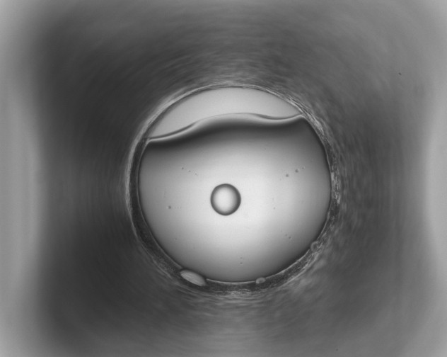 X0000101390196200807211020