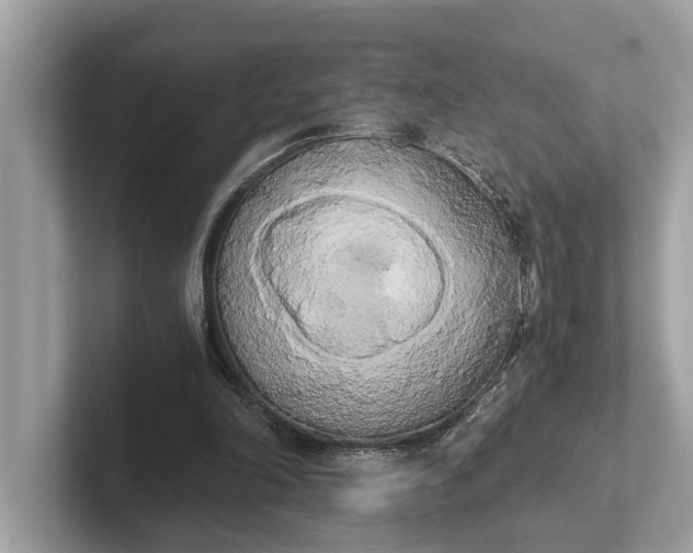 X0000101390198200807211020