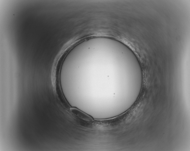 X0000101390199200807211020