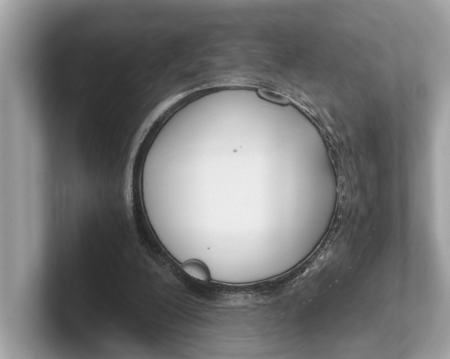 X0000101390200200807211020