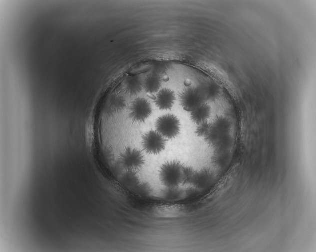 X0000101390202200807211020