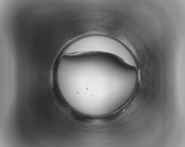 X0000101390204200807211020