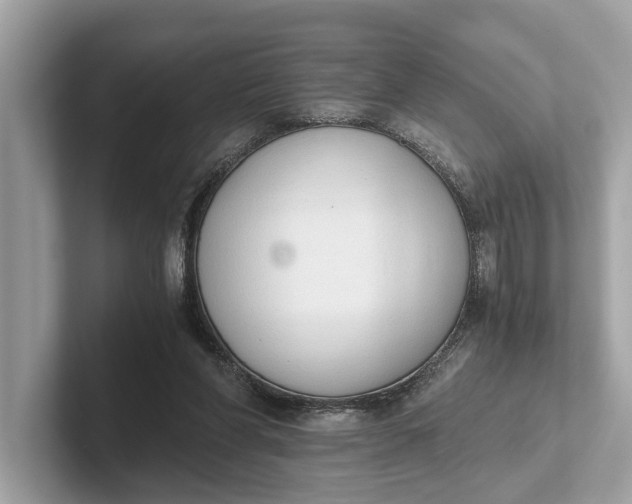 X0000101390206200807211020