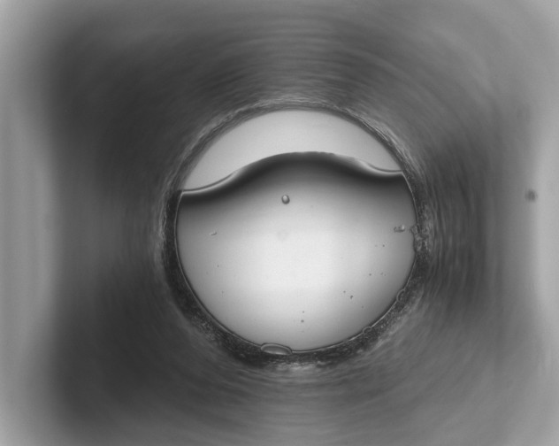 X0000101390208200807211020