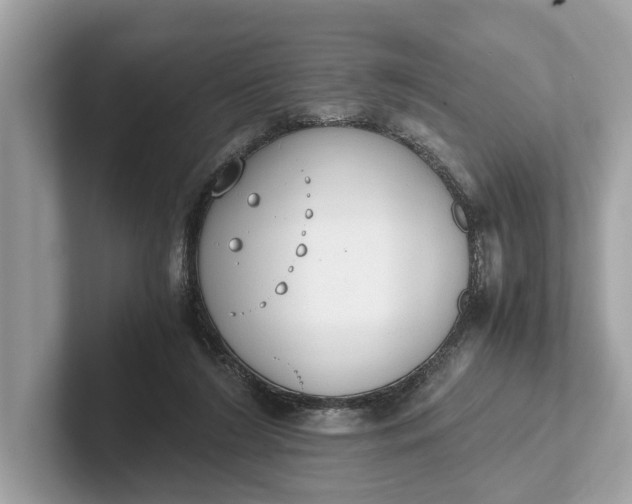 X0000101390212200807211020