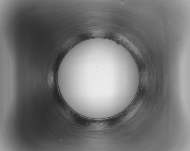 X0000101390213200807211019