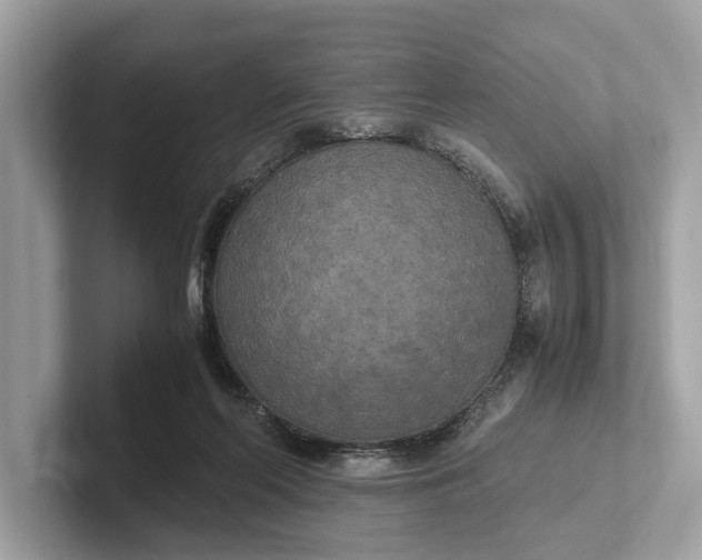 X0000101390214200807211019