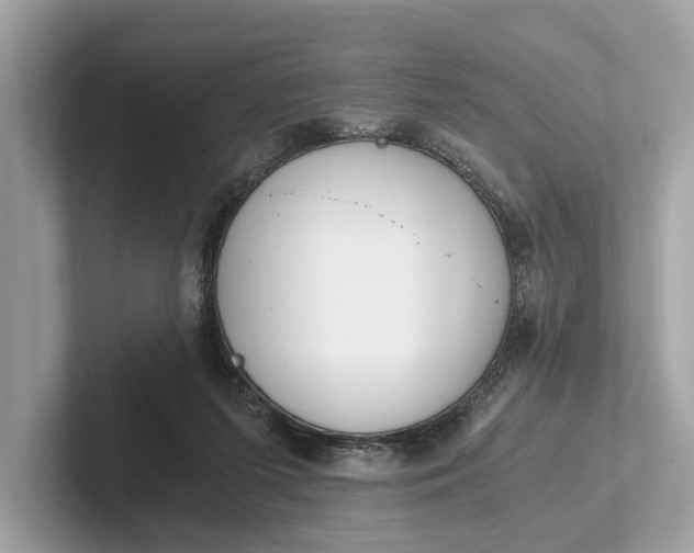 X0000101390215200807211019