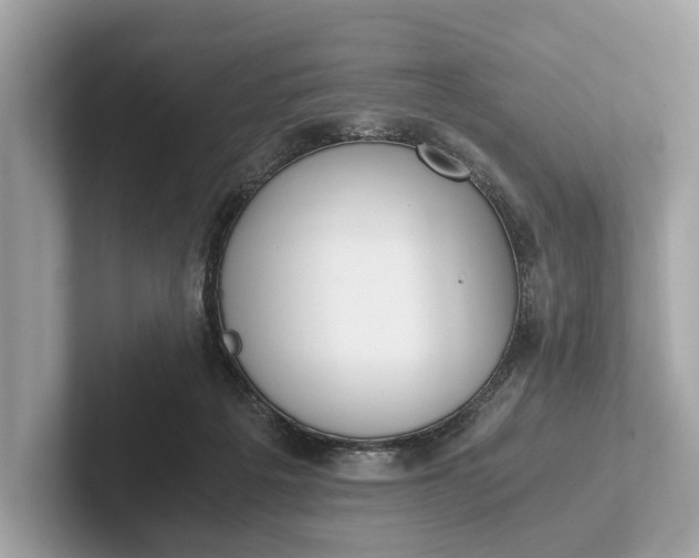 X0000101390217200807211019