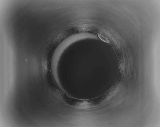 X0000101390219200807211019