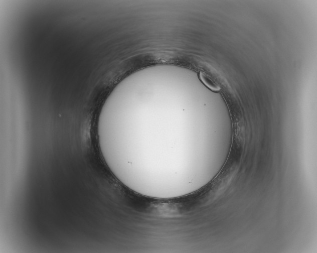 X0000101390221200807211019