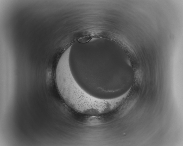 X0000101390222200807211019