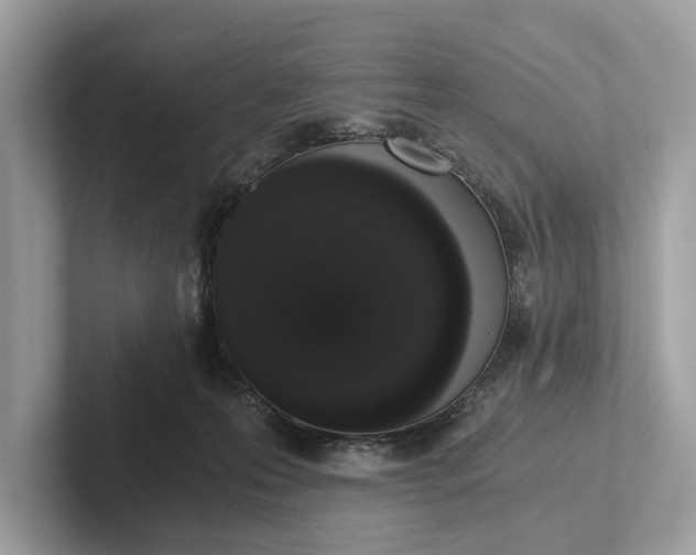 X0000101390223200807211019