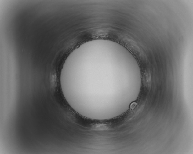 X0000101390224200807211019