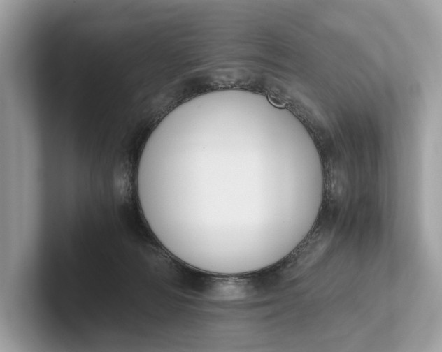 X0000101390226200807211019