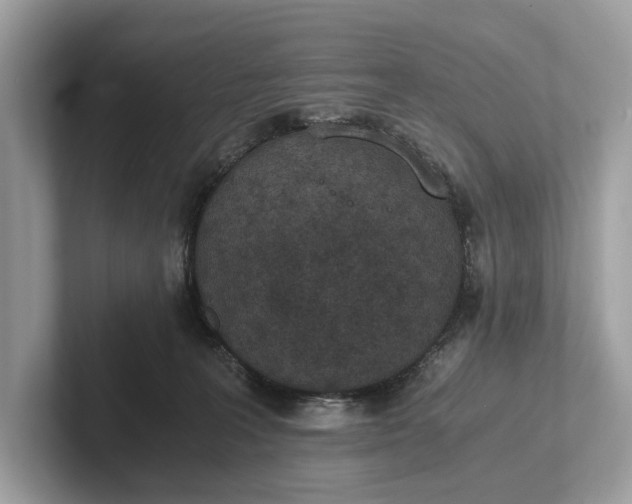 X0000101390227200807211019