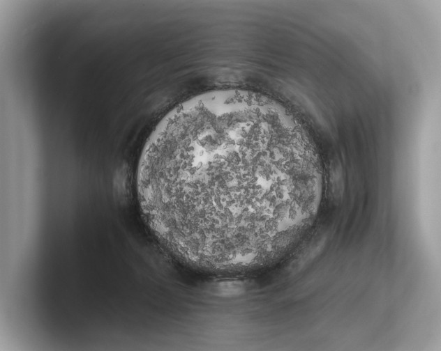 X0000101390228200807211019