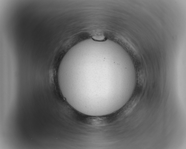 X0000101390229200807211019