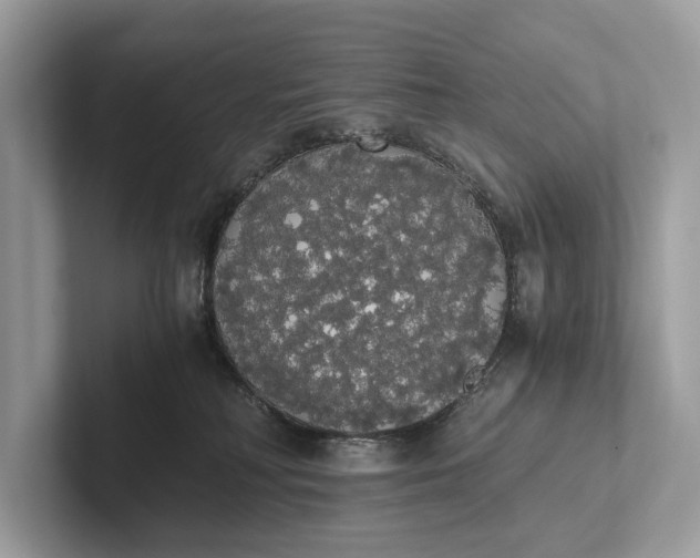 X0000101390230200807211019