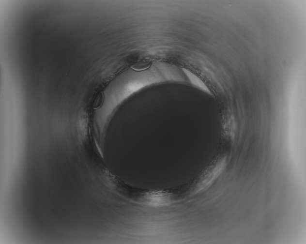 X0000101390231200807211019