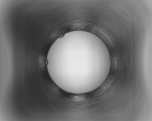 X0000101390232200807211019