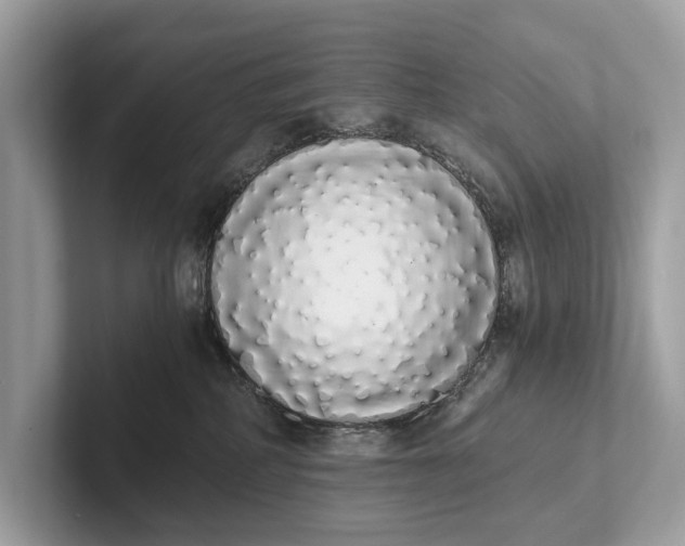 X0000101390234200807211019