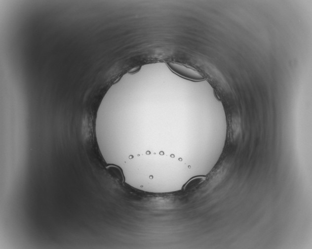 X0000101390236200807211019