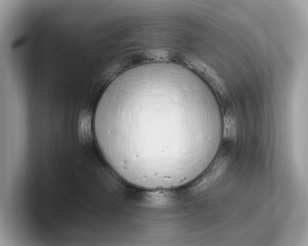 X0000101390238200807211019